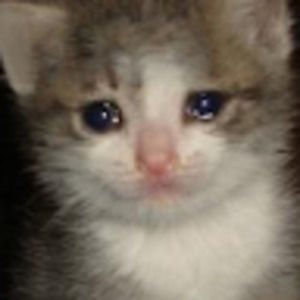 Meet your Posher, Ryleigh